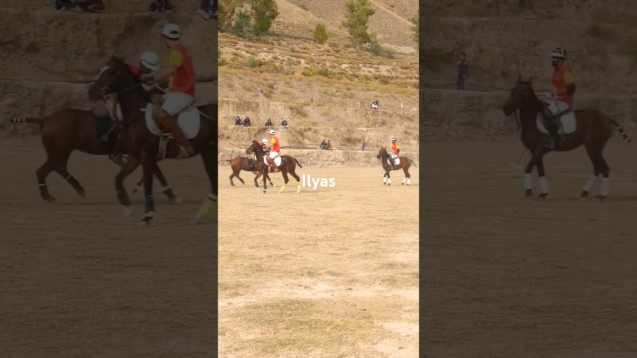ilyas chitral A team#chitral #chitralpolo #gilgitbaltistan #polo #freestylepolo #attitude #horse
