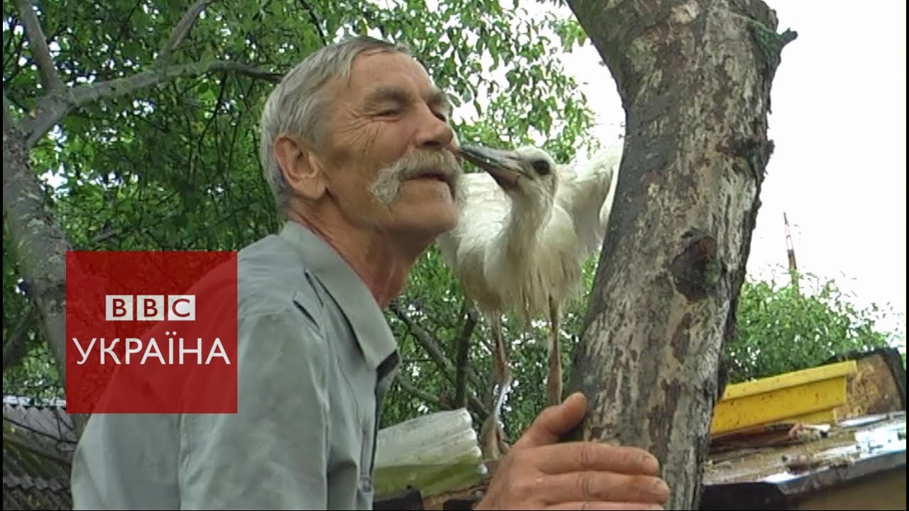 Ось така любов: мешканець села прихистив лелеку і що з цього вийшло