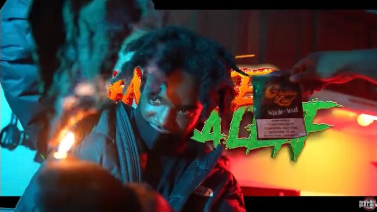 Shvtkreep - Grabba Leaf (Official Music Video)