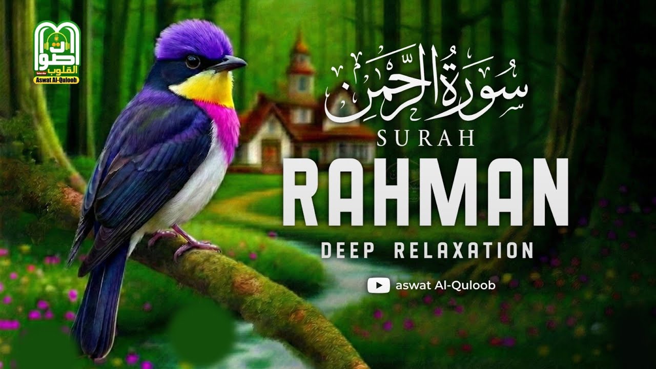 Deep Relaxation 😌 Surah Ar-Rahman with Soft Rain | Stress Relief | سورة الرحمن | Aswat Al-Quloob 