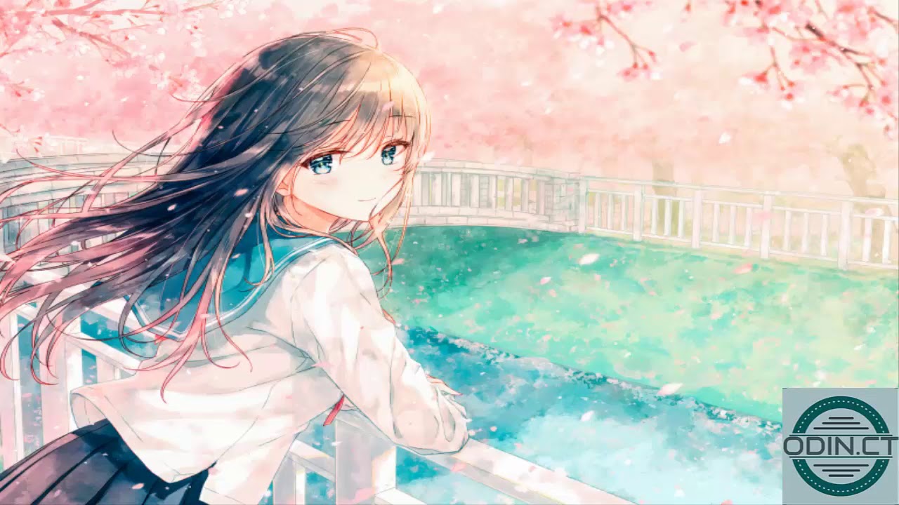 Mitis forests