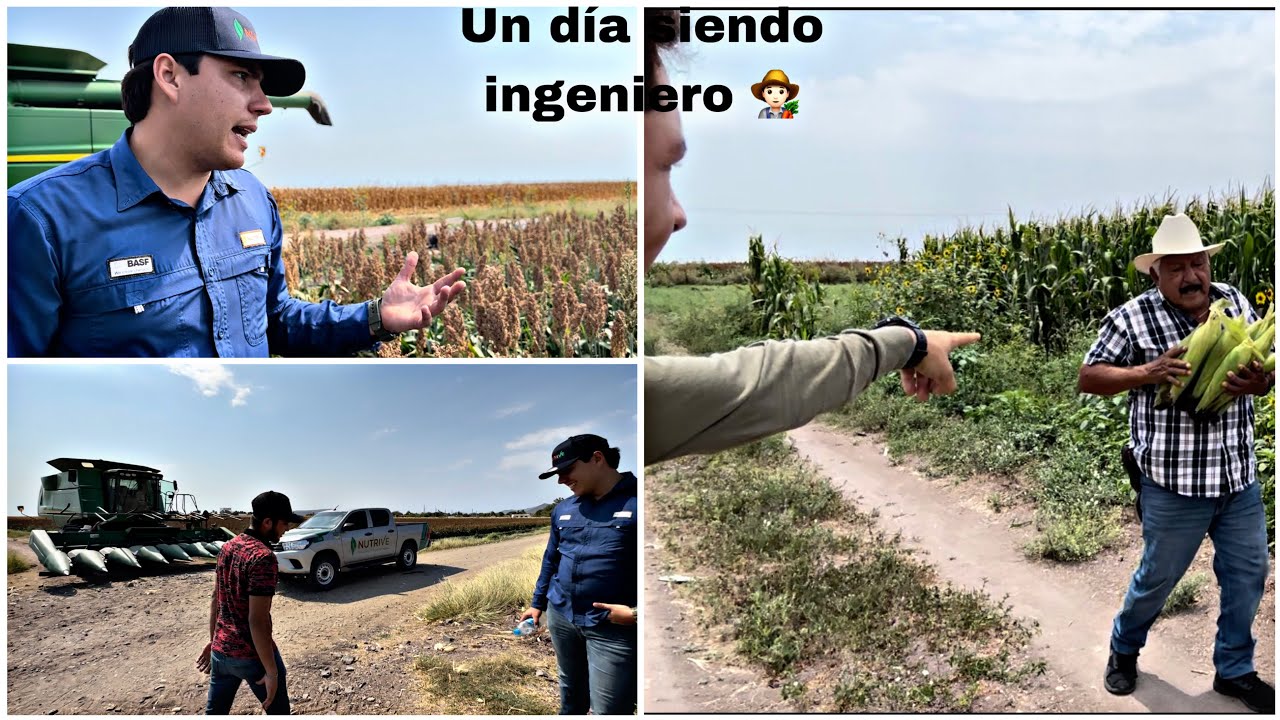 TODO UN DÍA SIENDO INGENIERO AGRÓNOMO CON MI HERMANO OSCAR Y HASTA ELOTES  R0B4M05 🫣(elmariomt)‼️