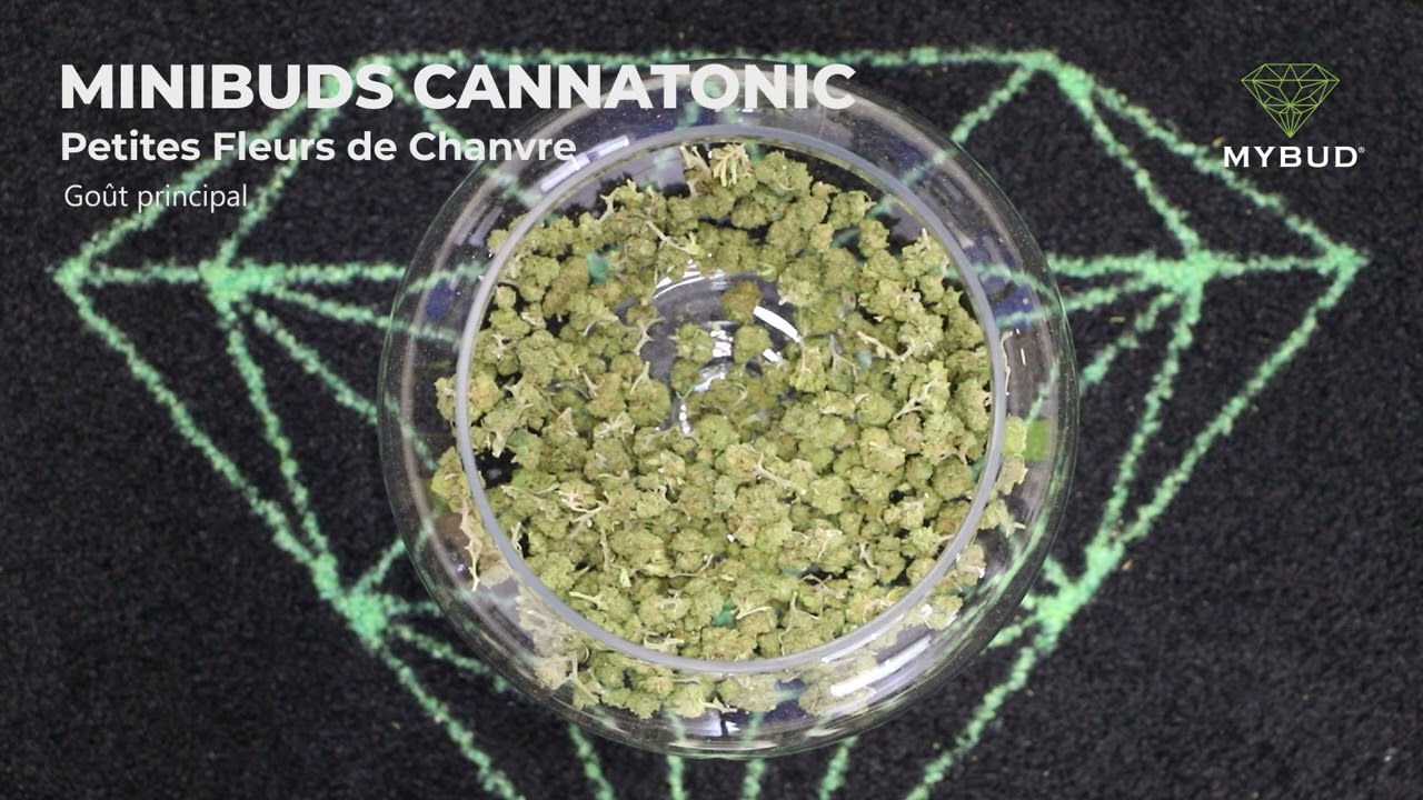 Minibuds Cannatonic CBD - Petites Fleurs pas Ch&egrave;res Douces et Terreuses