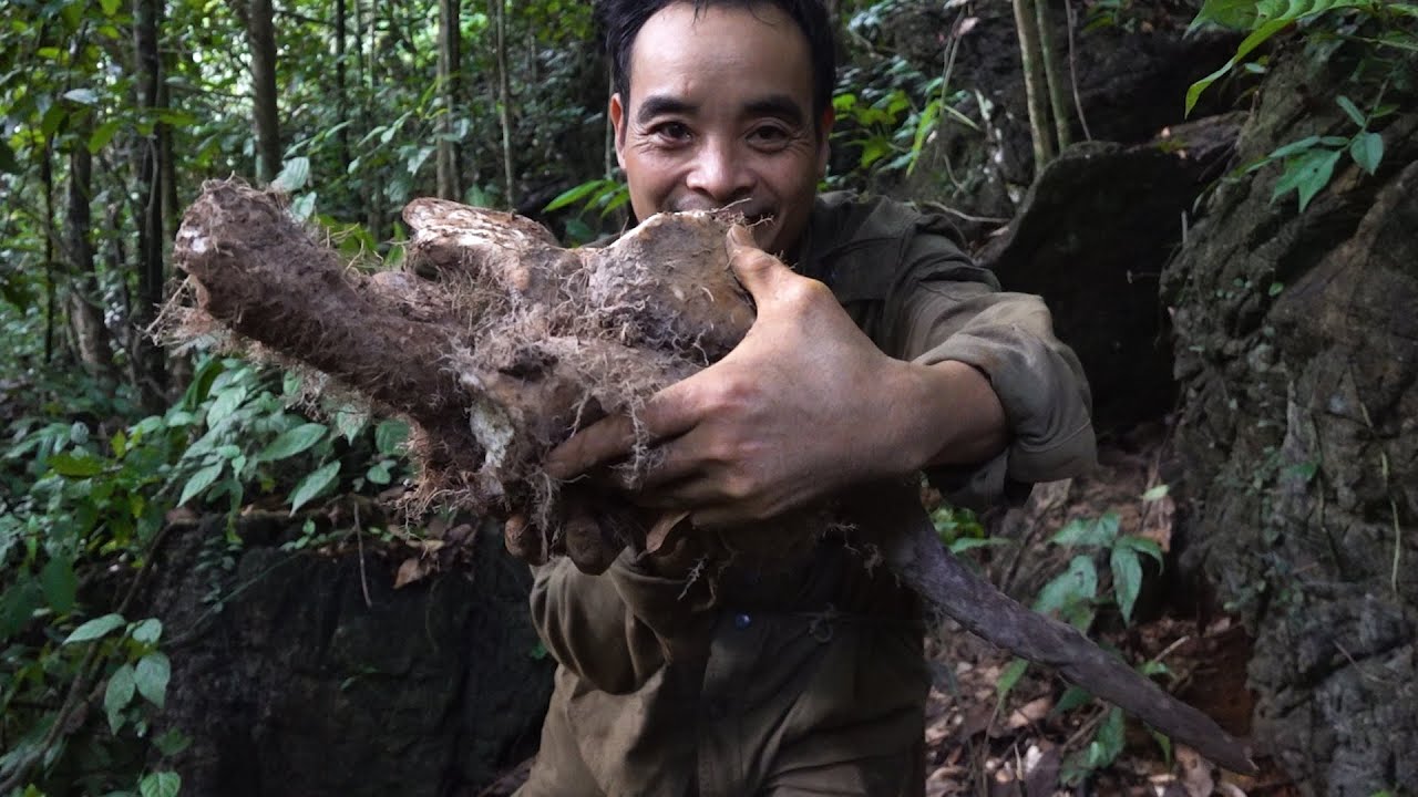 Lots of delicious starch underground - Pipi's lucky day | LIVING OFF THE GRID | Episode 18