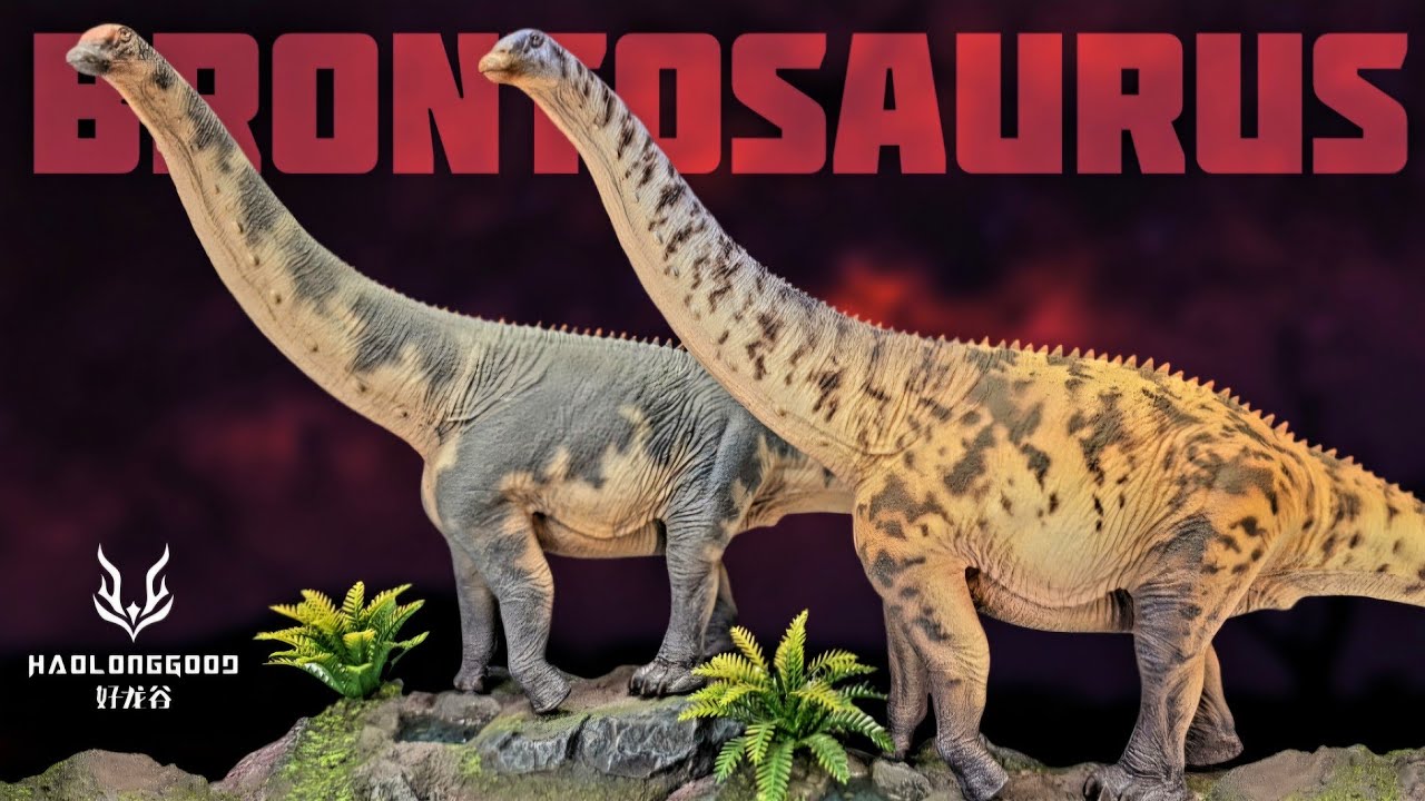 Haolonggood Brontosaurus Review!!! Both versions!!!