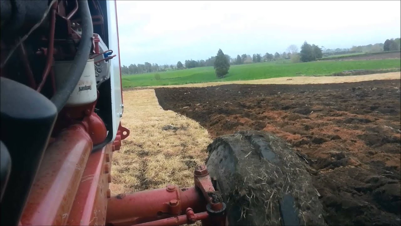 International 1086 on plow