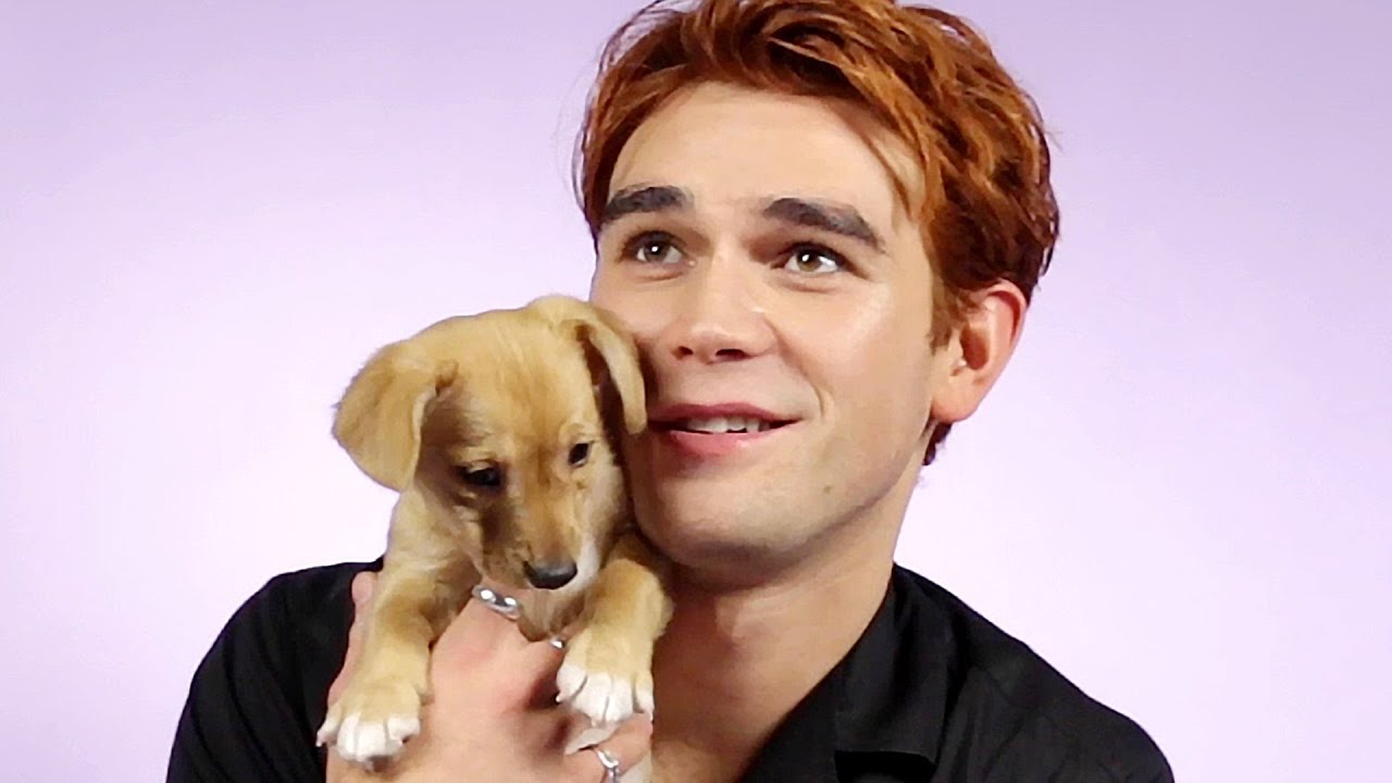 KJ Apa brinca com cachorrinhos enquanto responde a perguntas de fãs