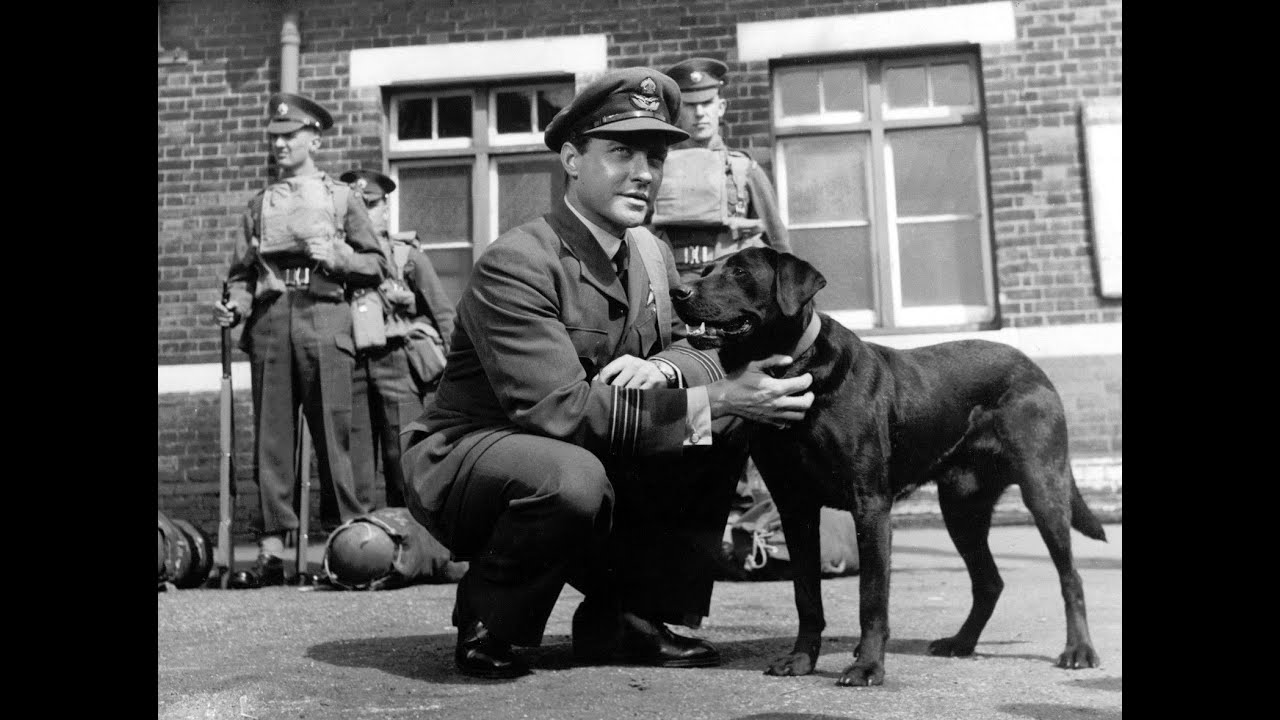 Richard Todd Interview 1989  Speaking About The Dam Busters