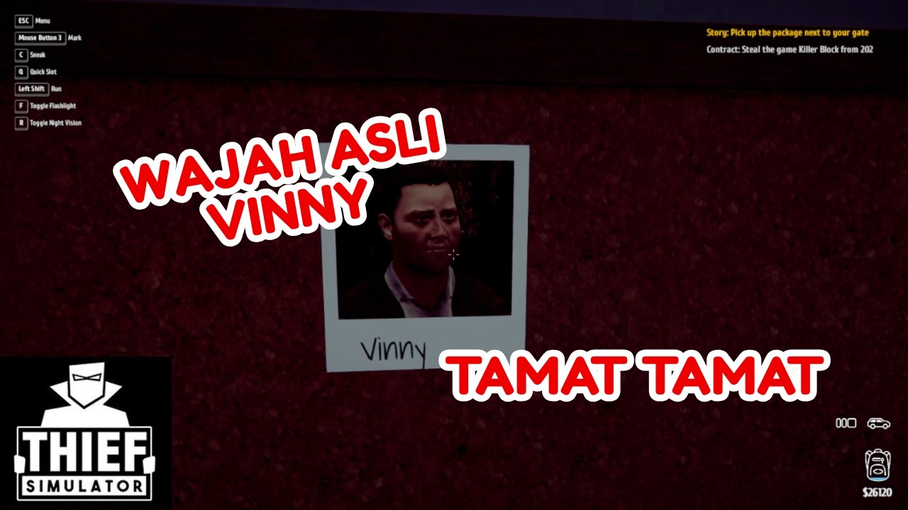 Anggap Saja Sudah Tamat - Thief Simulator Indonesia #9