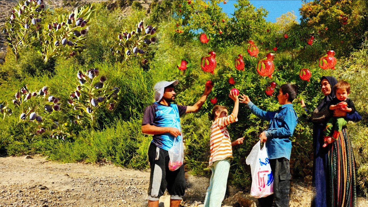 Mountain adventure 🌿 Picking wild pomegranates / Family life in the nature of Iran⛰️nomadic life