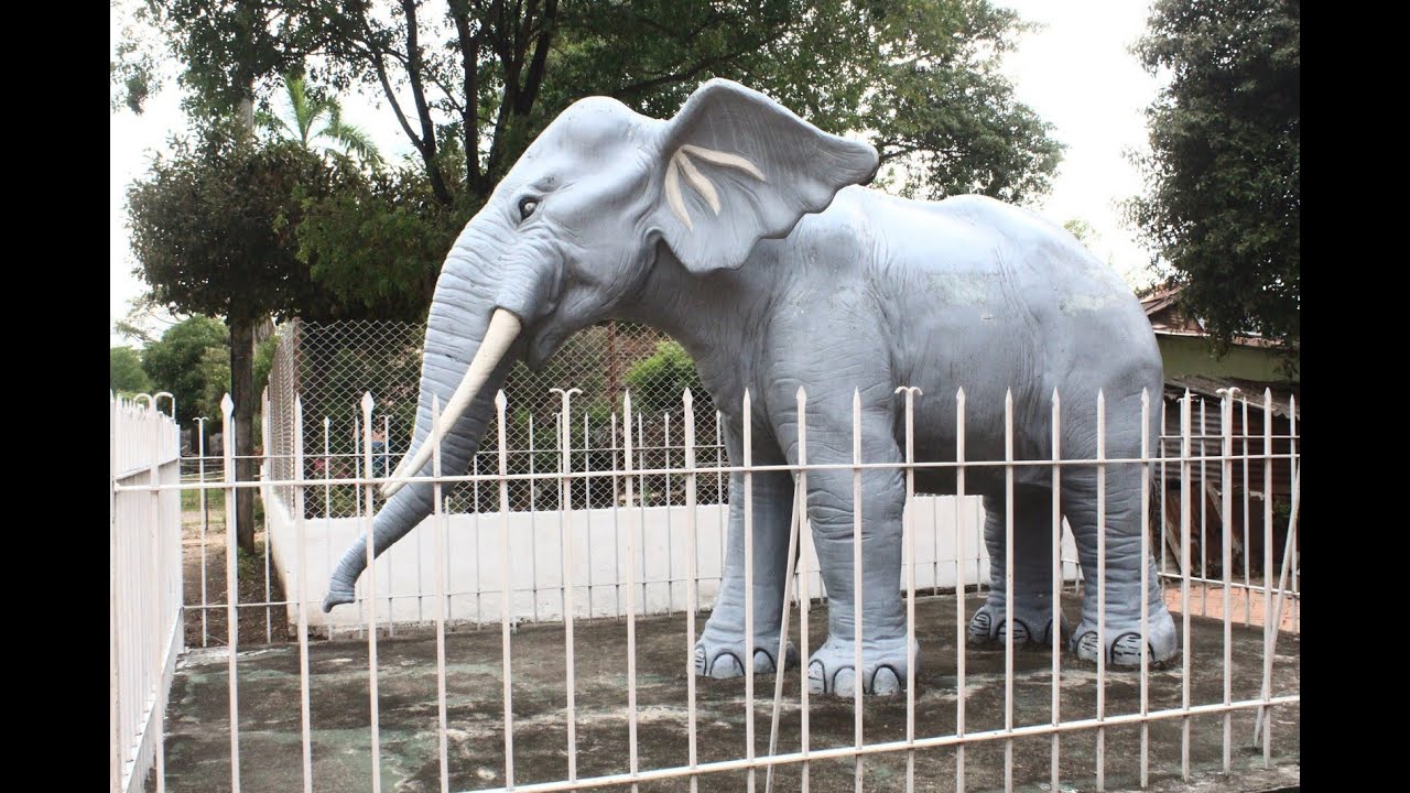 Museo Arqueol&oacute;gico y Paleontol&oacute;gico de Pubenza