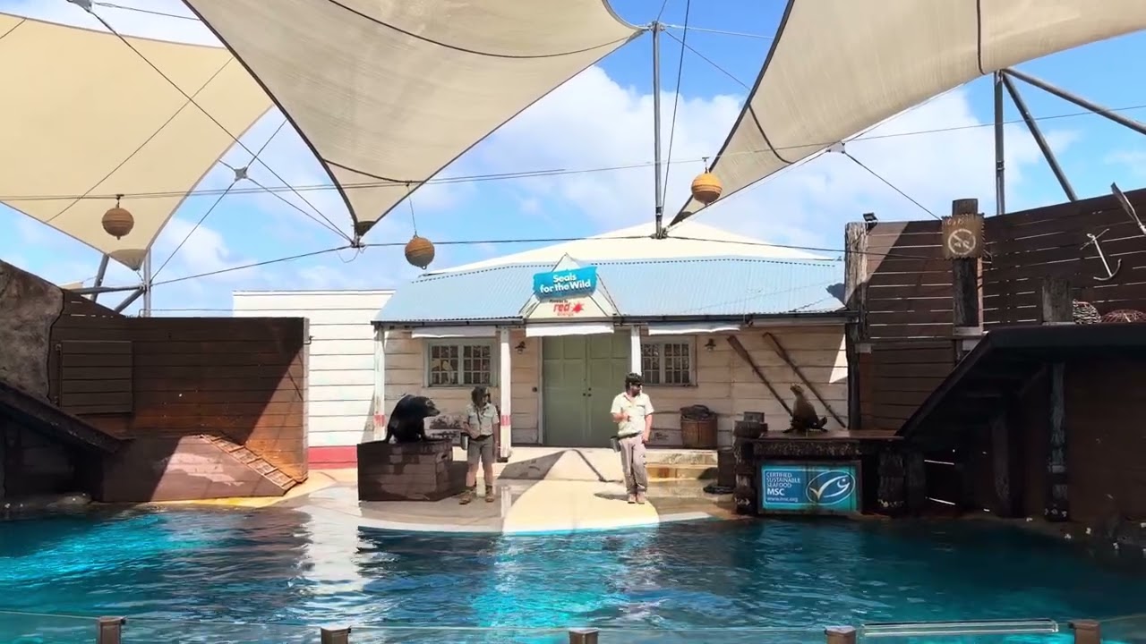 Seal show - part 2