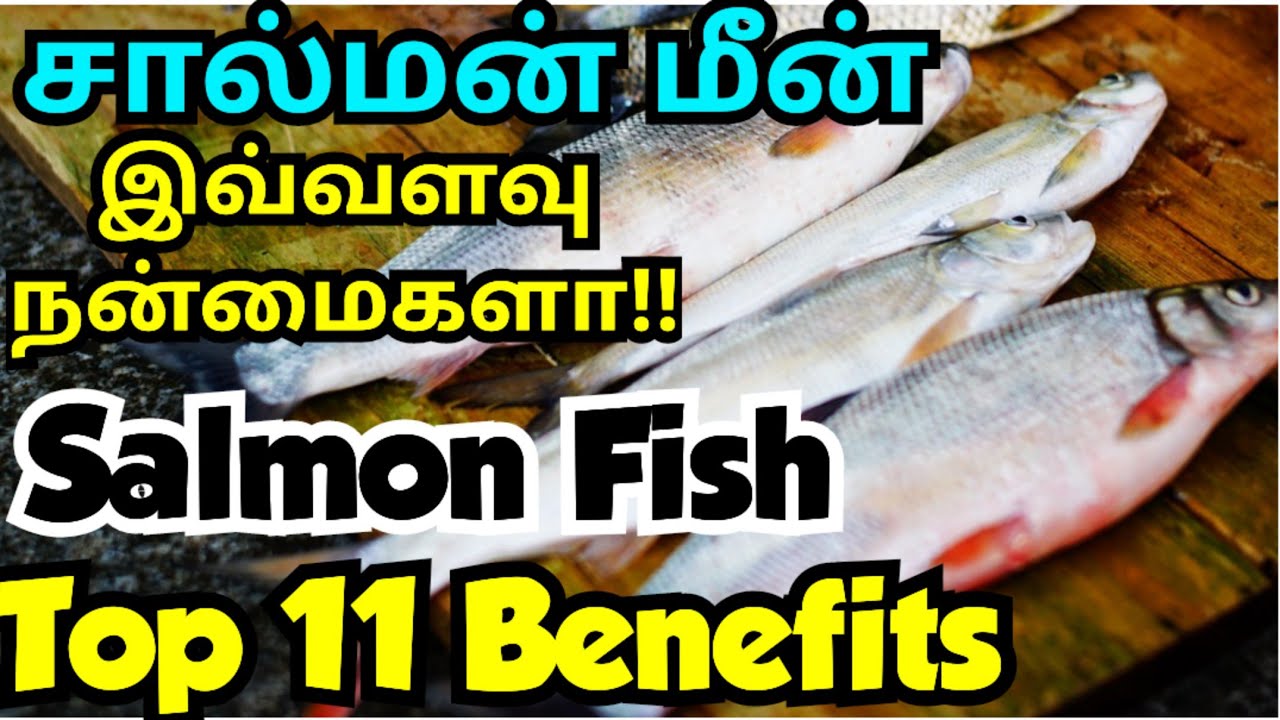 Salmon fish benefits tamil| சால்மன் மீன் நன்மைகள்| kilangan fish benefits| omega 3| கிழங்கான் மீன்