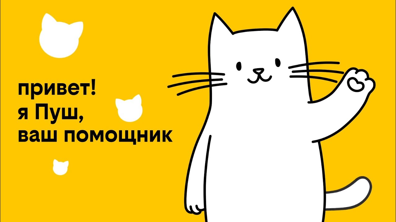 Как подтвердить свои данные и оставаться на связи. Инструкция от Пуша