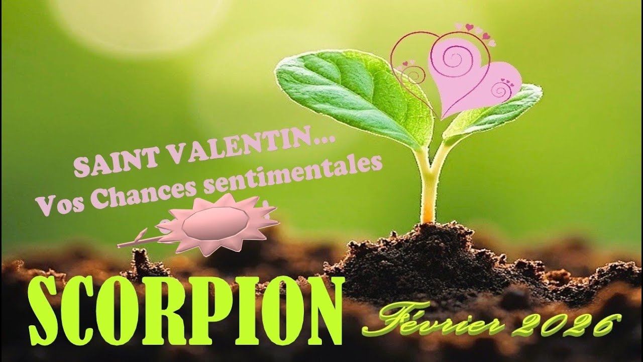 SCORPION / Février 2026〰️Renouveau sentimental