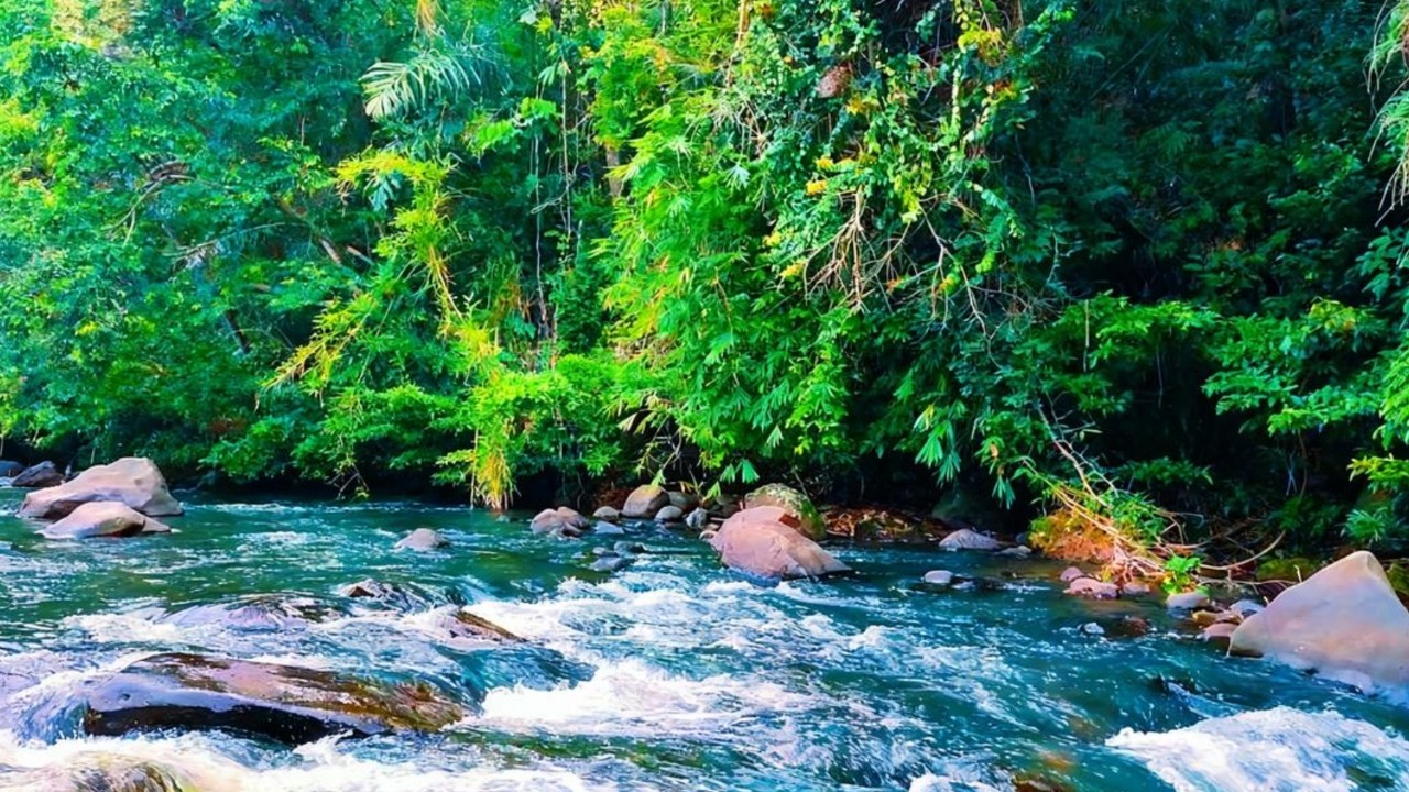 Peaceful River Sounds in Nature 🌊 White Noise for Sleep