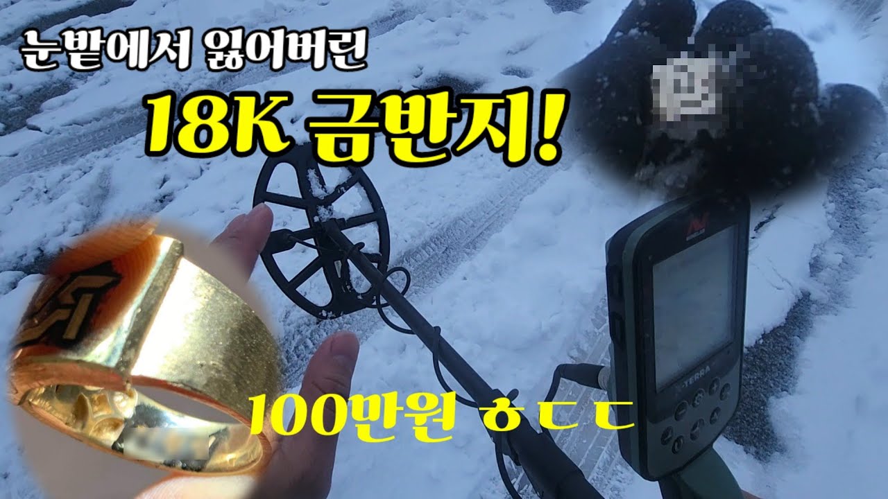 폭설에 잃어버린 3돈짜리 금반지! 금속탐지기로 찾아드리러 다녀왔습니다!