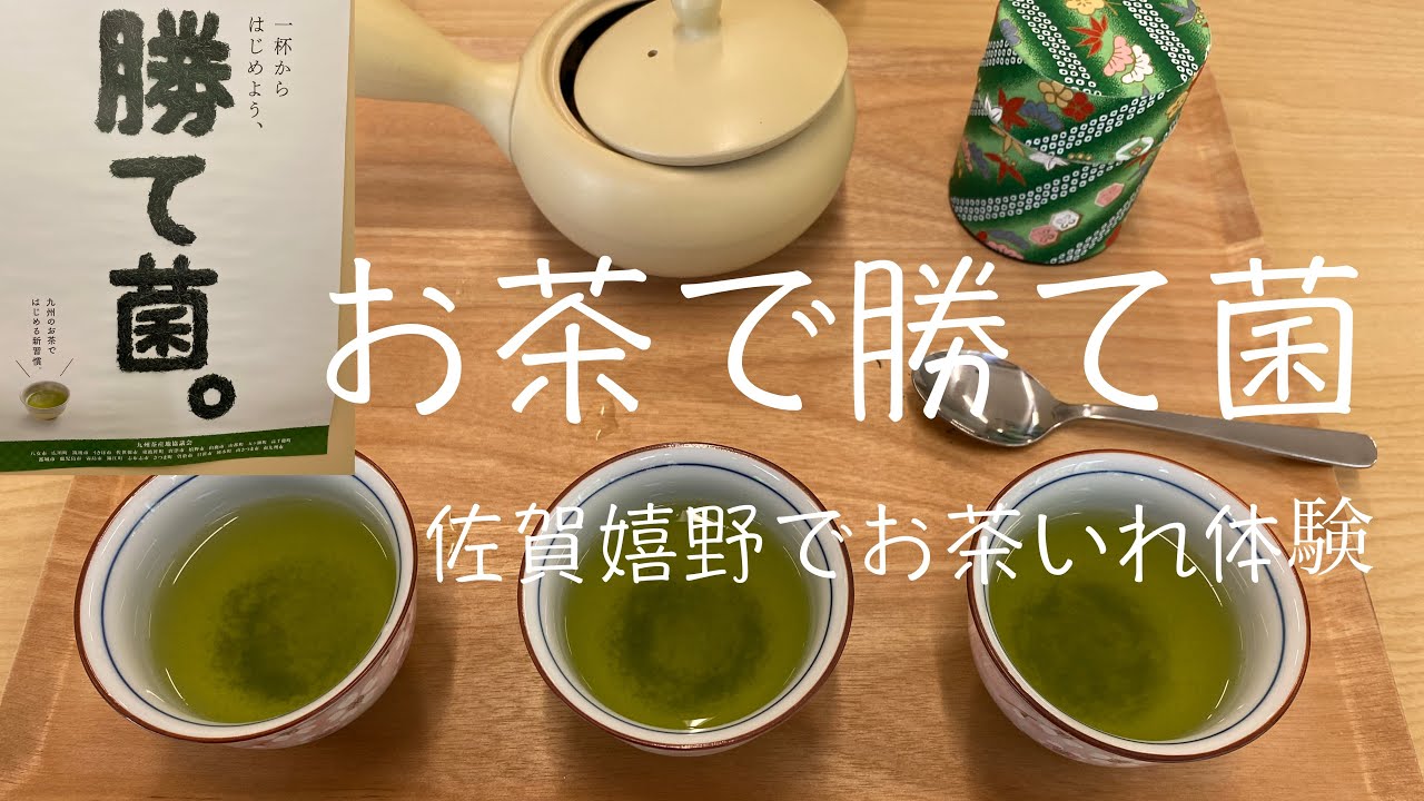 【佐賀県嬉野市】お出かけ　佐賀県嬉野で嬉野茶のお茶淹れ体験