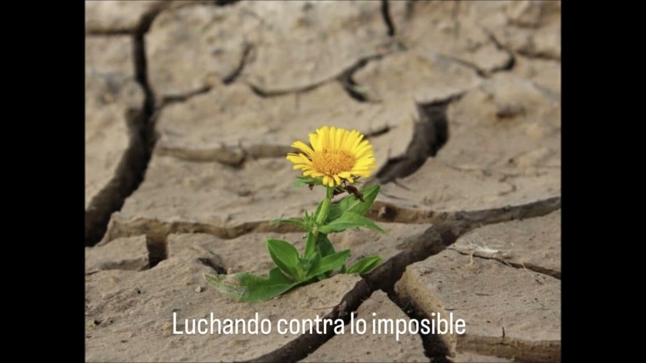"Luchando contra lo imposible" - Jaime Fernández Garrido