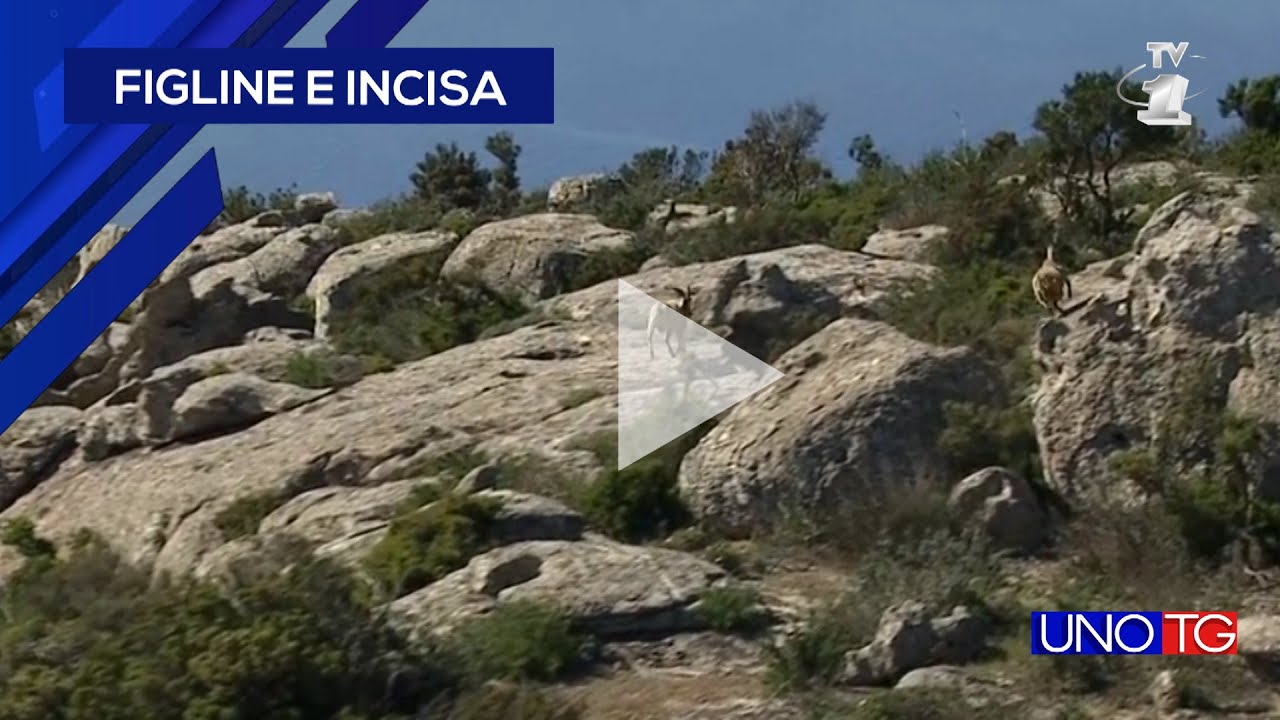 L'isola delle isole, Montecristo: 2.000 fortunati la visiteranno
