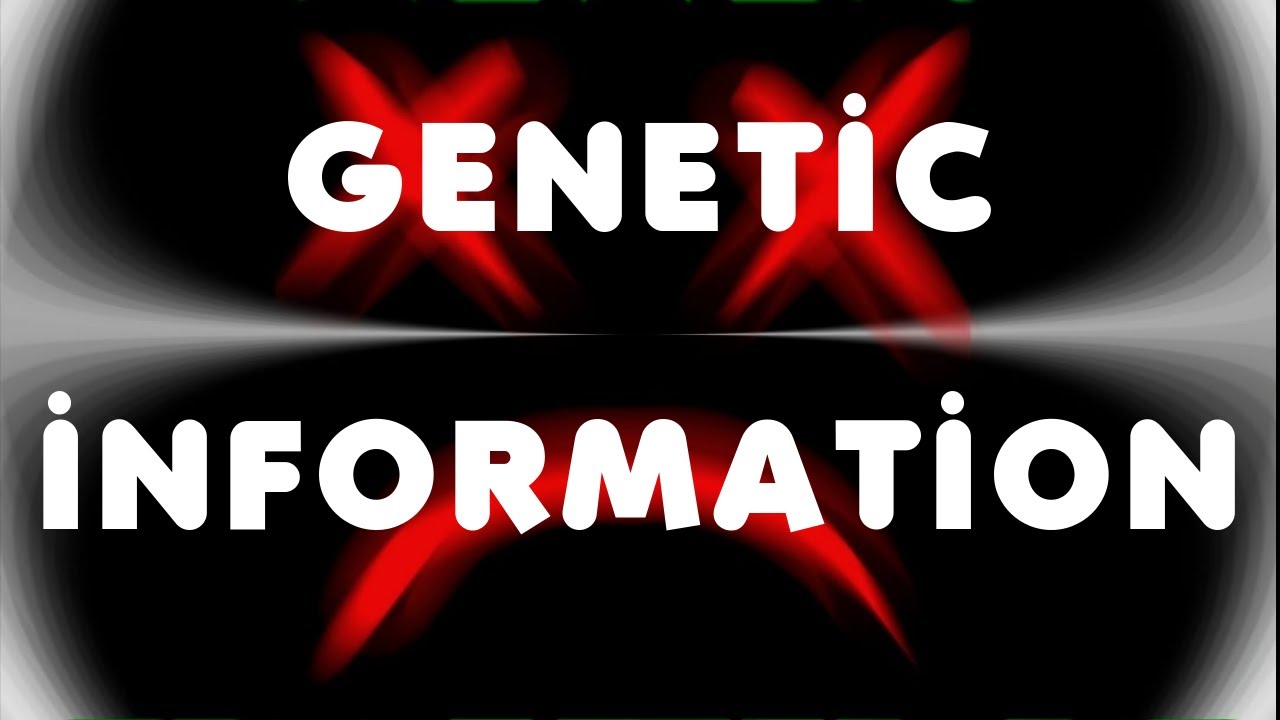 K0N0R - Genetic Information (Audio)