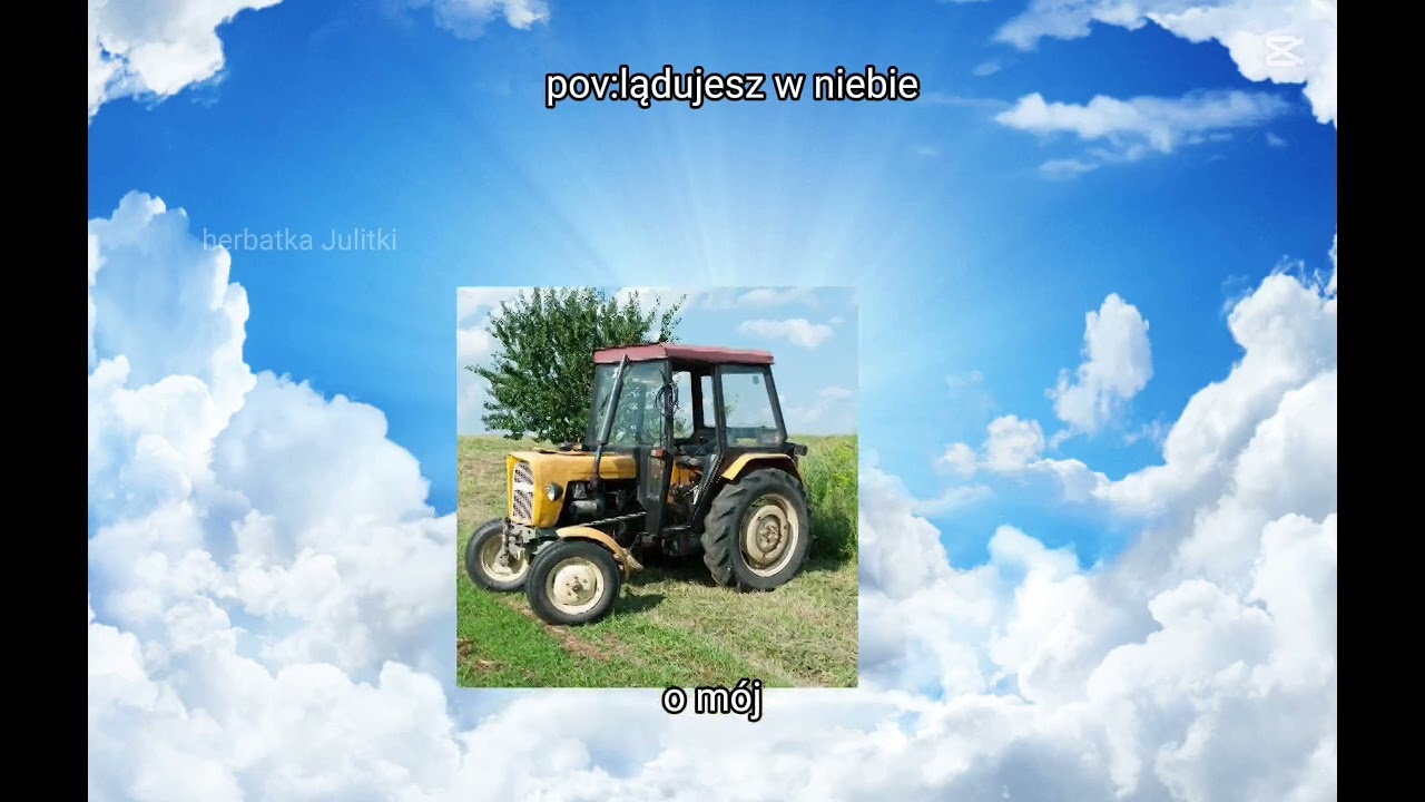 Złoty śmieciu