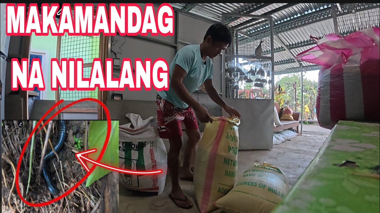 NAKATAGPO KAMI NG MAKAMANDAG SA BUKID