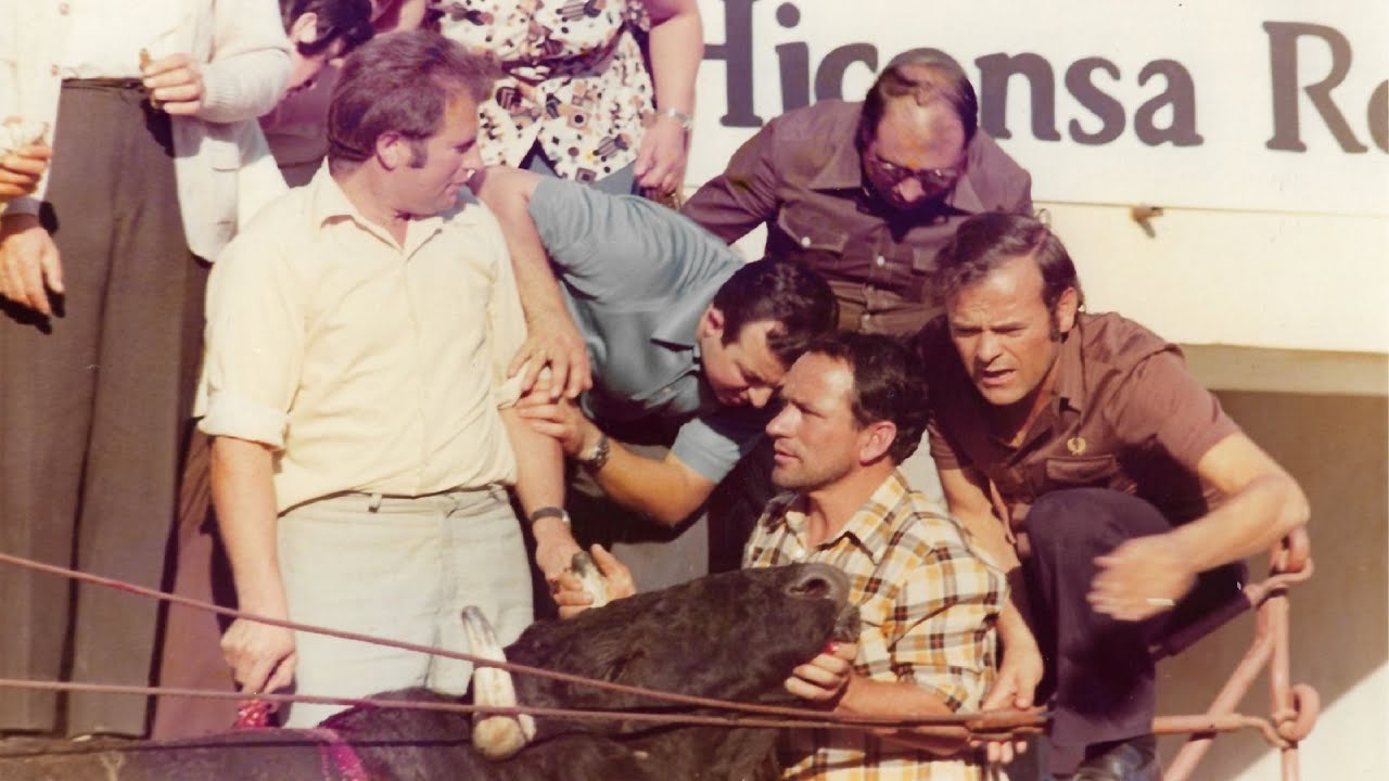 Pánico en las Ferias de 1974: el toro que saltó al tendido