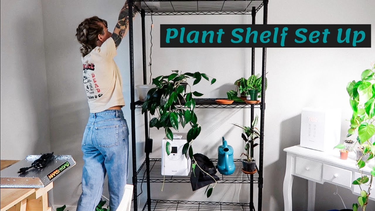Plant Shelf Set Up + Mars Hydro TS600 Grow Light Unboxing!