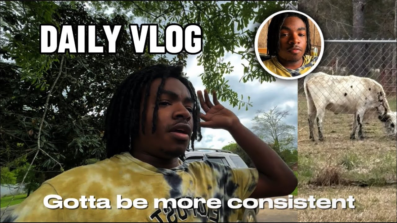 The Consistent Daily Vlog Update