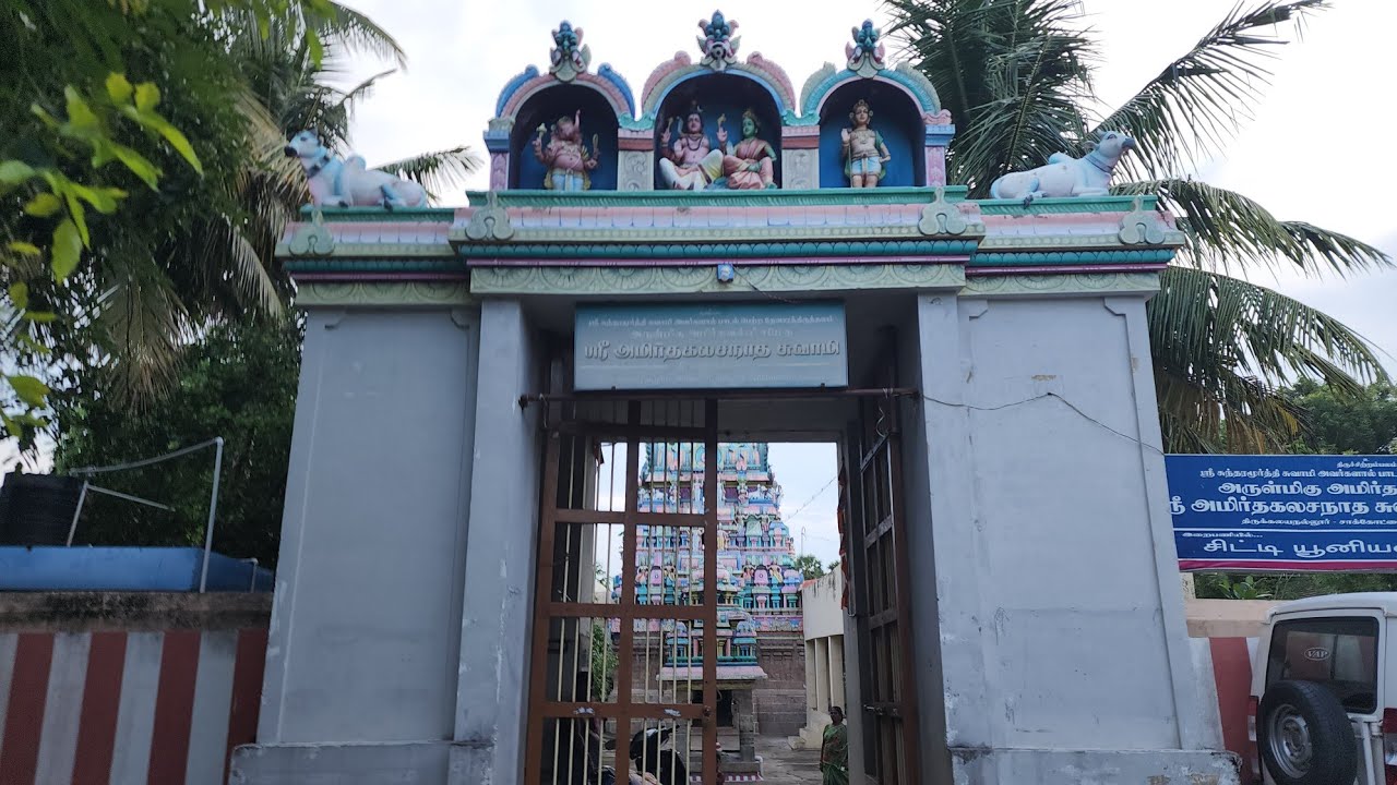 சாக்கோட்டை கும்பகோணம் அமிர்தகடேஸ்வரர் மகா மகம்