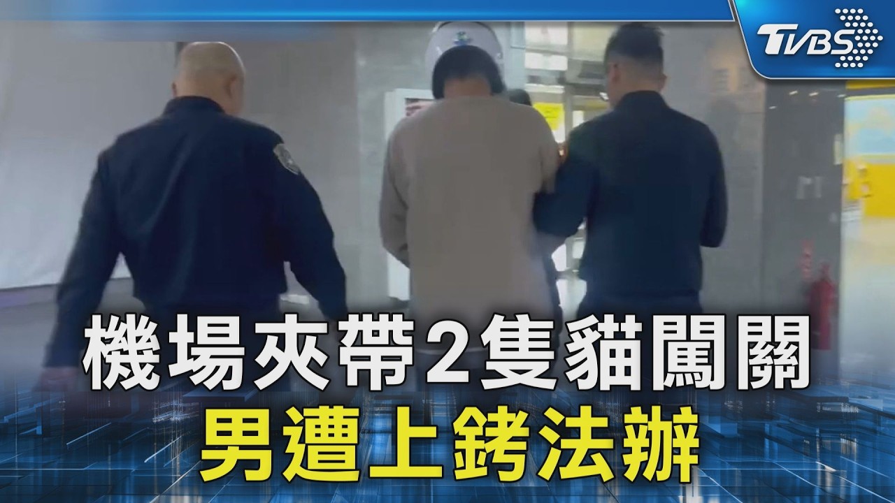 機場夾帶2隻貓闖關 男遭上銬法辦｜TVBS新聞 @TVBSNEWS02