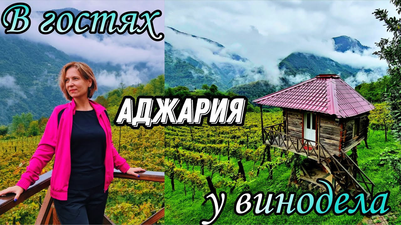 Грузия. Горная Аджария. Экскурсия под дождём. Водопад Махунцети, мост Тамары, секреты винодела