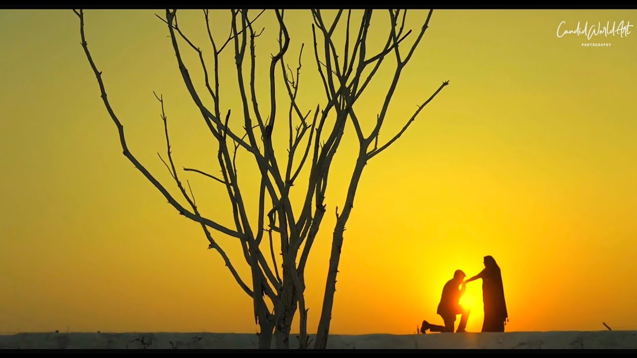 Pre wed || Adarsh & Lavish || Pre wedding Jaipur || 2022