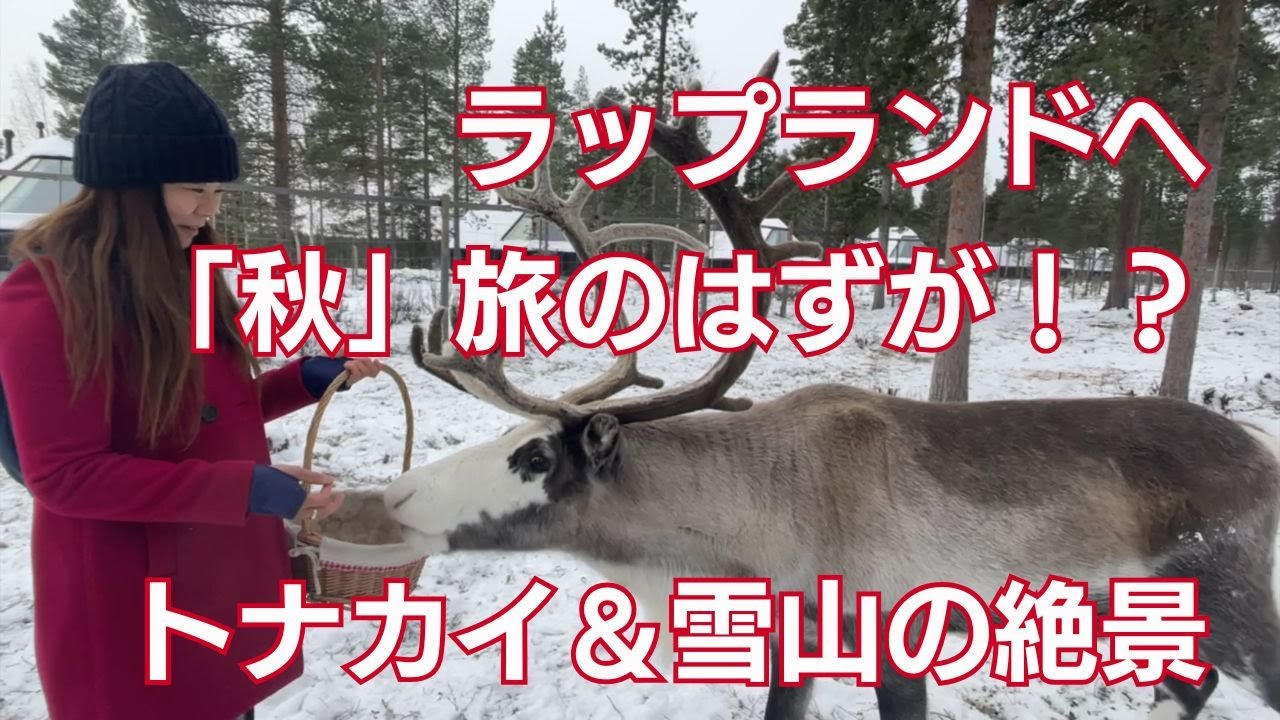 オーロラを求めてフィンランド（Ivaro & Saariselkä in Finland）へ　トナカイの餌やりとサーリセルカ編