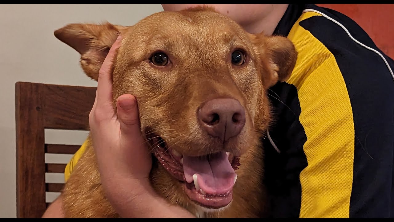 Marley's Story