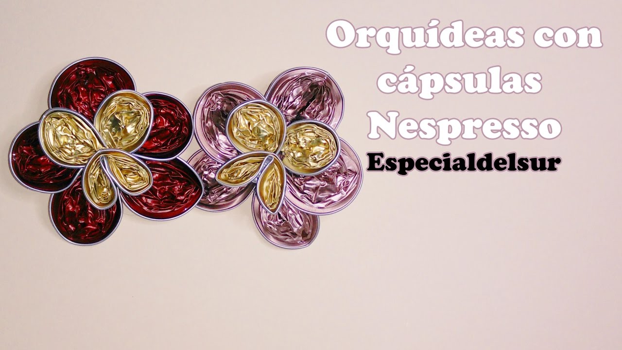 Orquídeas con cápsulas Nespresso - TUTORIAL