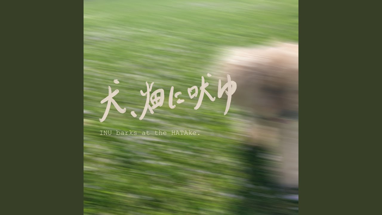 部屋掃除