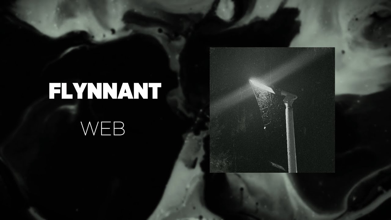 FLYNNANT - Web #electronica #carmusic #housemusic #angelcore