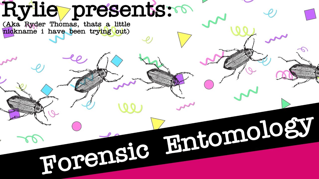 Forensic Entomology Presentation (That i never got to show to my class)