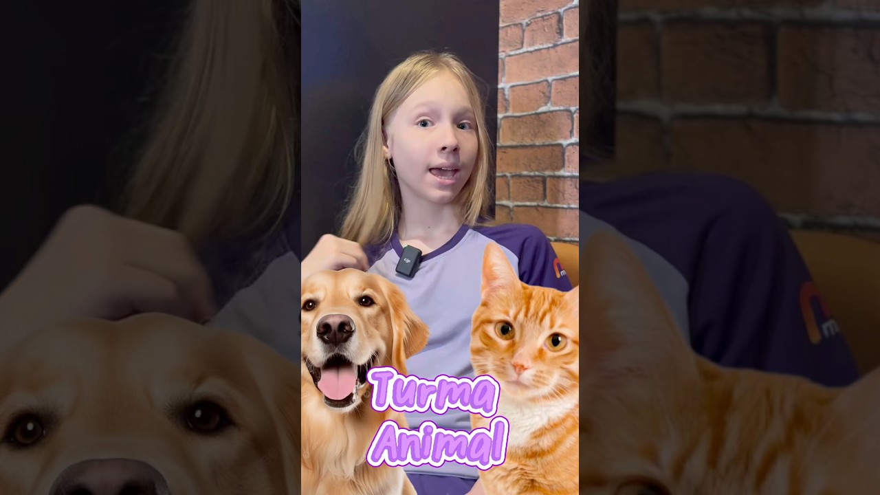 Animais domésticos 