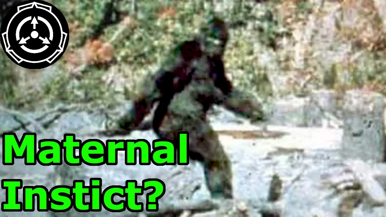 The Patterson-Gimlin Film: An Analysis Of Behaviour