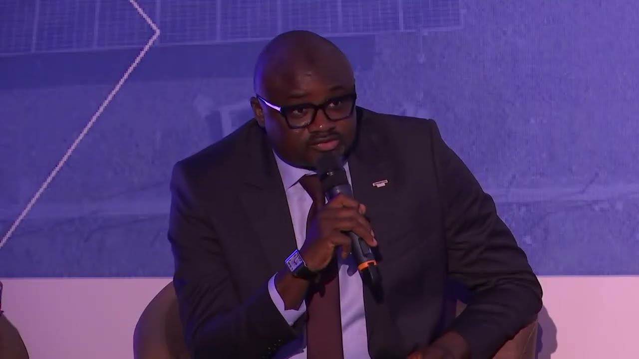 Panel des partenaires et bailleurs Thème : Comment accélérer l’électrification rurale en Guinée ?