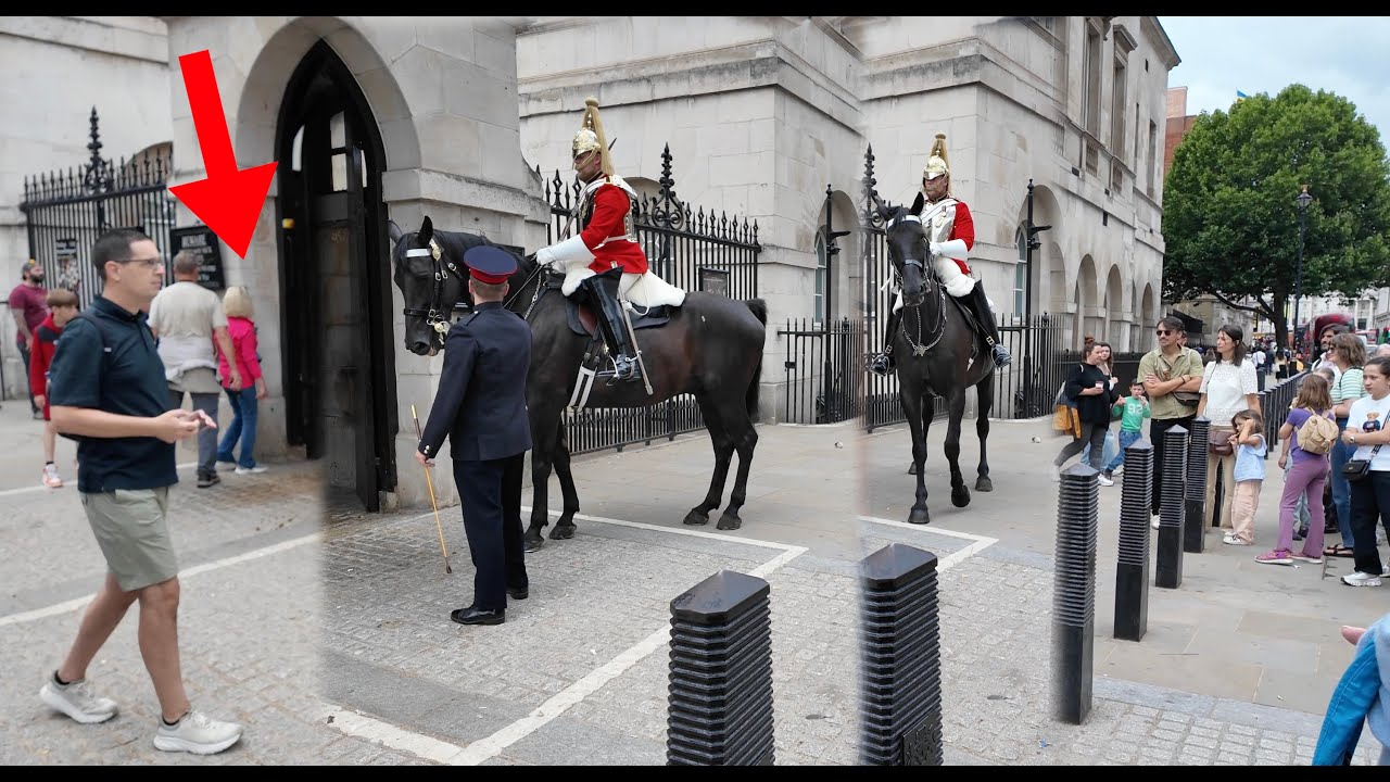 Unbelievable!! ❌ Few Horses Spooked, Lady in Pink Tries to Enter the Sentry Box, Police Stops Her!!