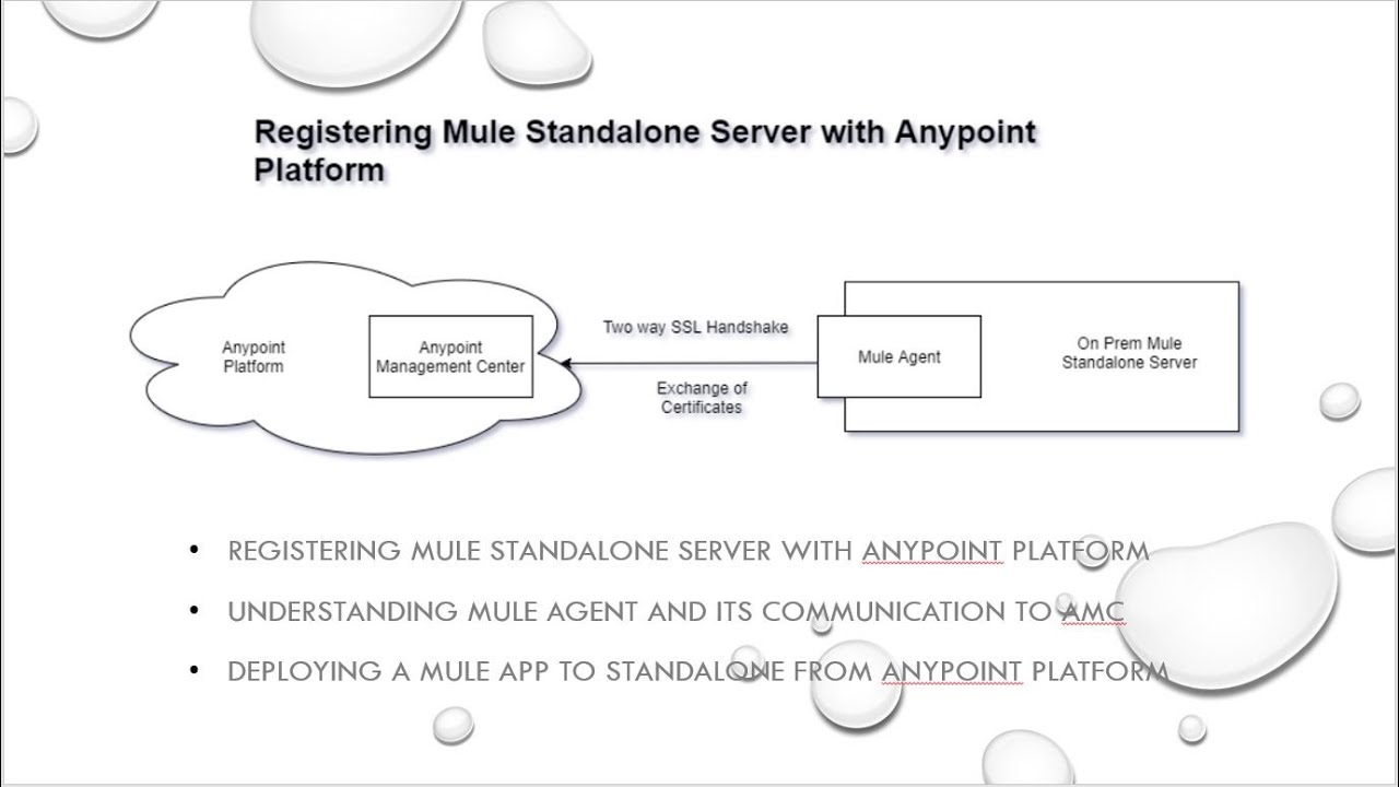 Гибридное развертывание: регистрация автономного сервера Mule 4 на платформе Anypoint