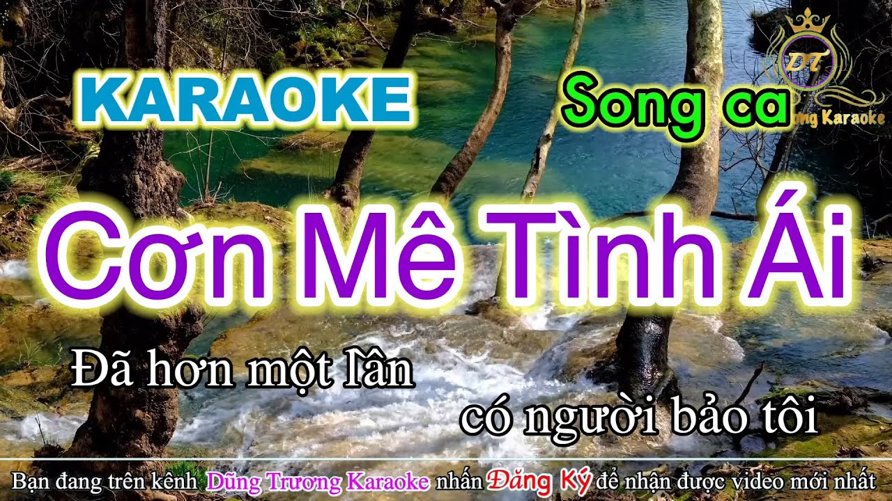 Cơn Mê Tình Ái Karaoke Song Ca | Dũng Trương