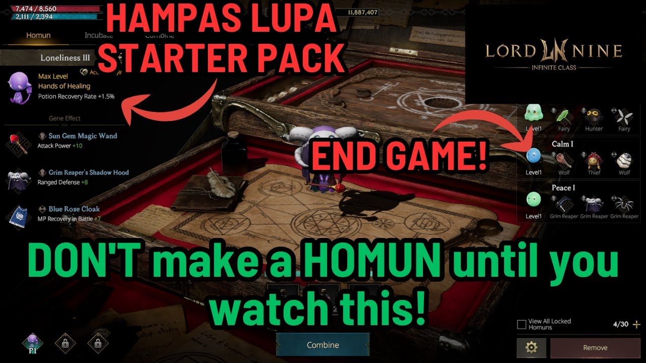 F2P HOMUN Guide: LORDNINE's BEST KEPT SECRET!