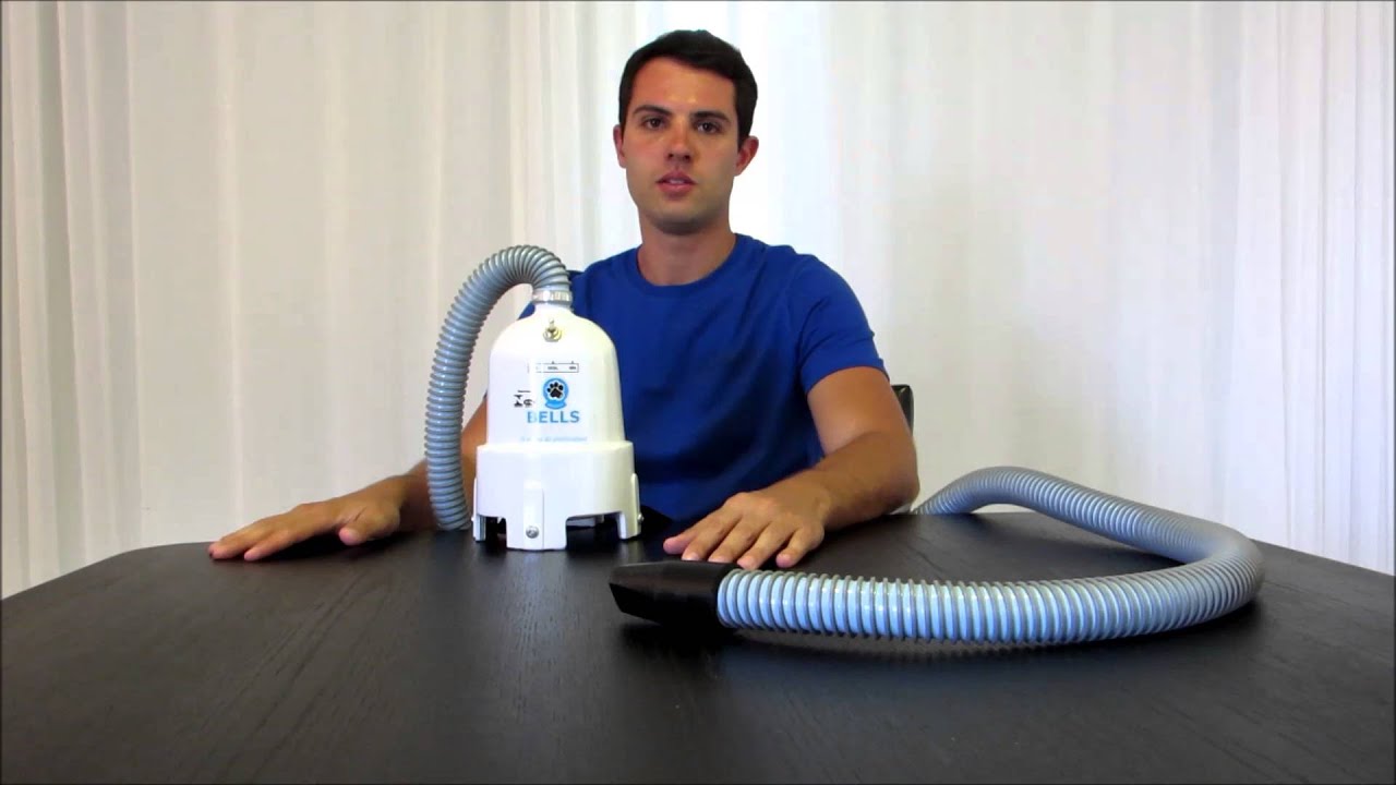 Sopradores para Banho & Tosa: Teste Nível de ruído - BHTOSA.COM