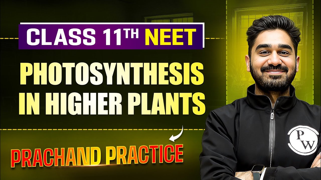 Photosynthesis in Higher Plants PYQ's Video Solution | PRACHAND Practice Series | NEET 2025