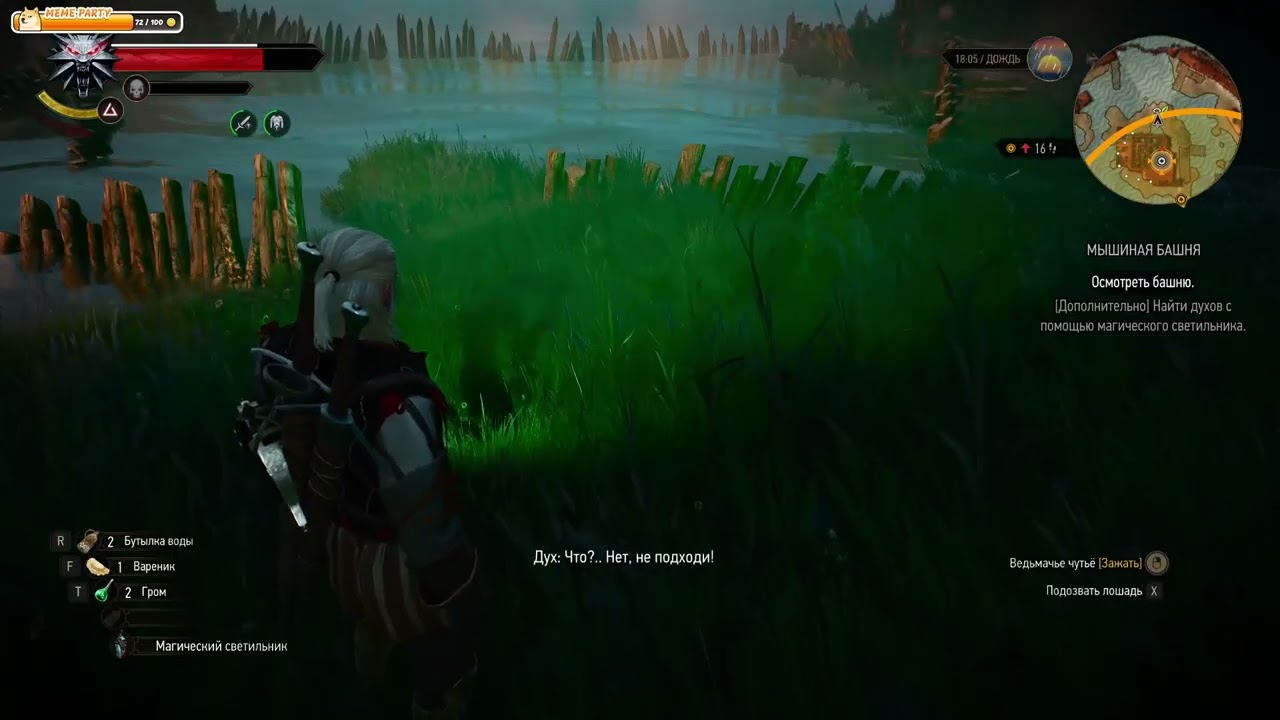 ►The Witcher 3 Wild Hunt #13